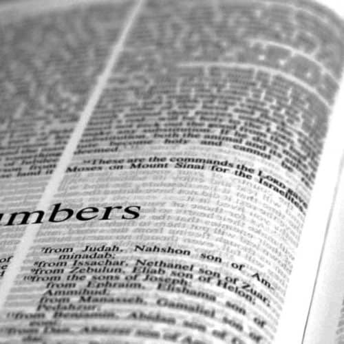 book of numbers church